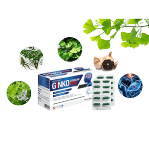 Viên hoạt huyết GINKO Citicoline Vite hộp 60 viên