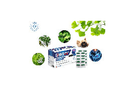 Combo 4 hộp GINKO Citicoline 60 viên